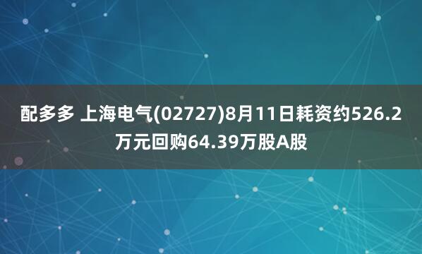 配多多 上海电气(02727)8月11日耗资约526.2万元回购64.39万股A股